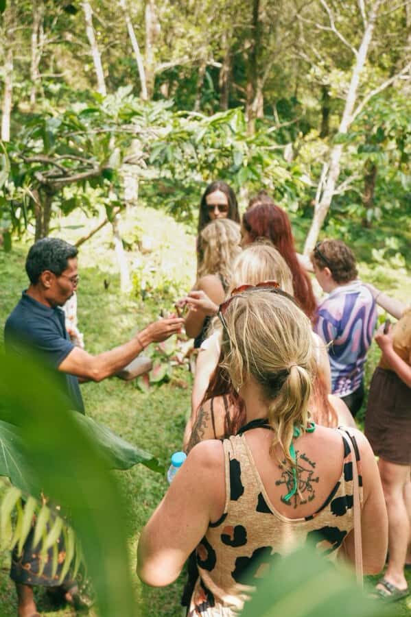 Munduk : Coffee Plantation Tour and Bamboo Weaving Class - Why This Tour Offers Great Value