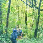 Munduk Jungle Trek & Hidden Waterfalls with Local Guide - Starting Point and Transportation