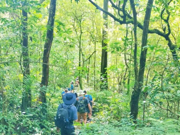 Munduk Jungle Trek & Hidden Waterfalls with Local Guide - Starting Point and Transportation