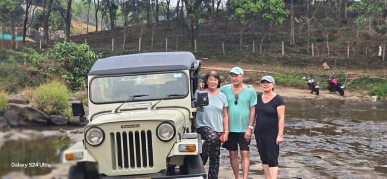 Munnar: Anakulam Jeep Safari to Explore Wild Elephants - What to Expect: A Well-Structured Day