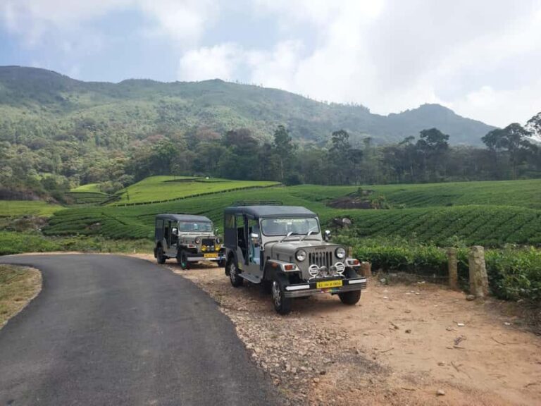 Munnar: Anakulam Jeep Safari with Waterfall and Elephant - Good To Know
