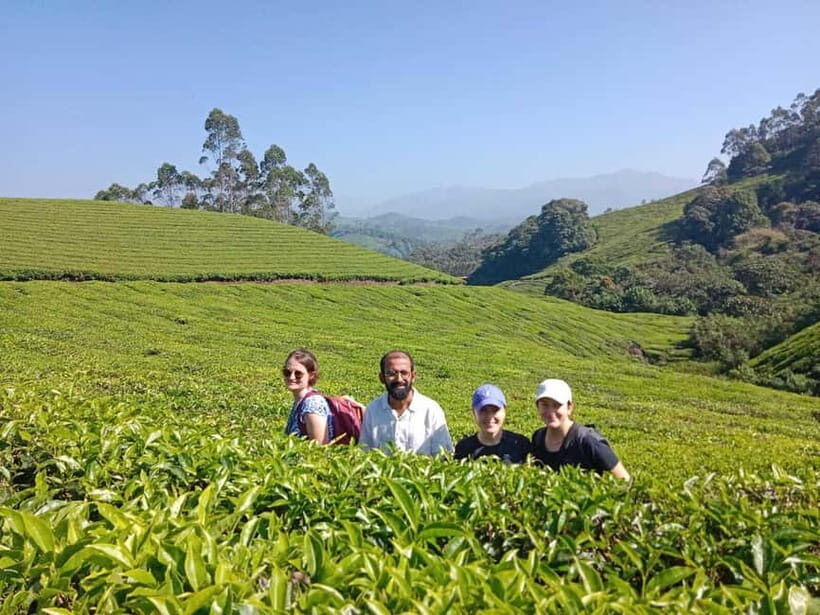 Munnar: Half day Guided Trek - Why This Trek Is a Great Choice