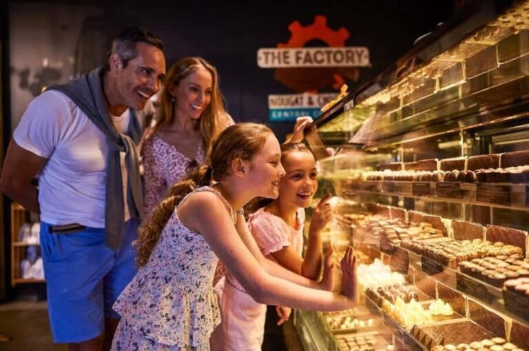 Munnar Local Sightseeing (Adventure Spots) - Transportation and Group Experience