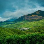 Munnar : Private One Day Tour from Kochi. Free Pickup-Drop - Is This Tour Worth It? An In-Depth Look