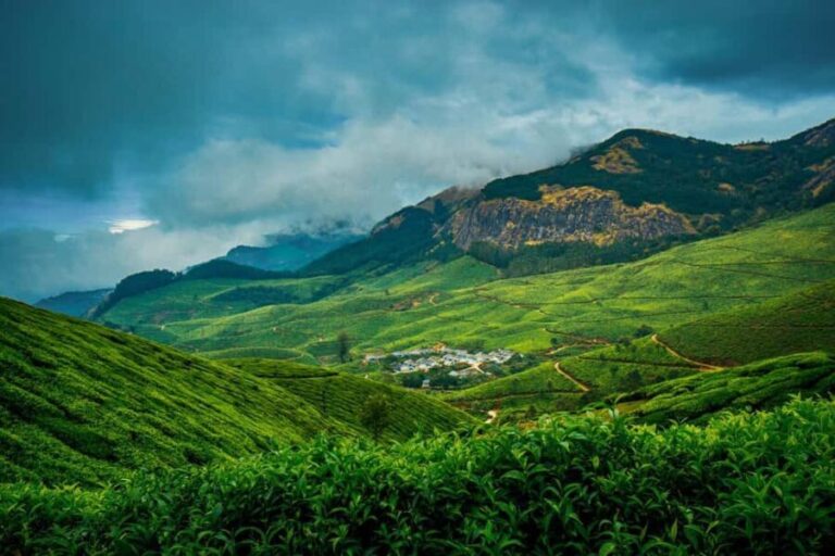 Munnar : Private One Day Tour from Kochi. Free Pickup-Drop - Is This Tour Worth It? An In-Depth Look