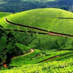 Munnar Same Day Tour: Lakes, Viewpoints & Tea Gardens - Kundala Lake and Its Tranquility