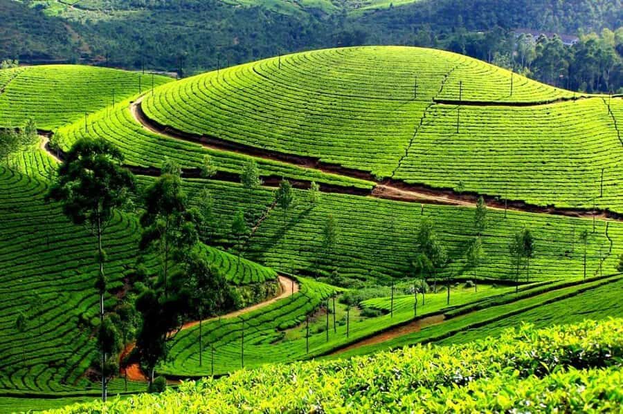 Munnar Same Day Tour: Lakes, Viewpoints & Tea Gardens - Kundala Lake and Its Tranquility