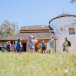 Murray River Lunch Cruise - Why Travelers Love This Cruise