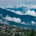 Mussoorie Day Trip - Who Is This Tour Best For?