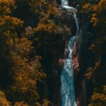 Mussoorie: Kempty Falls, Gun Hill, and Lal Tibba Day Tour - Practical Details and Experience Quality