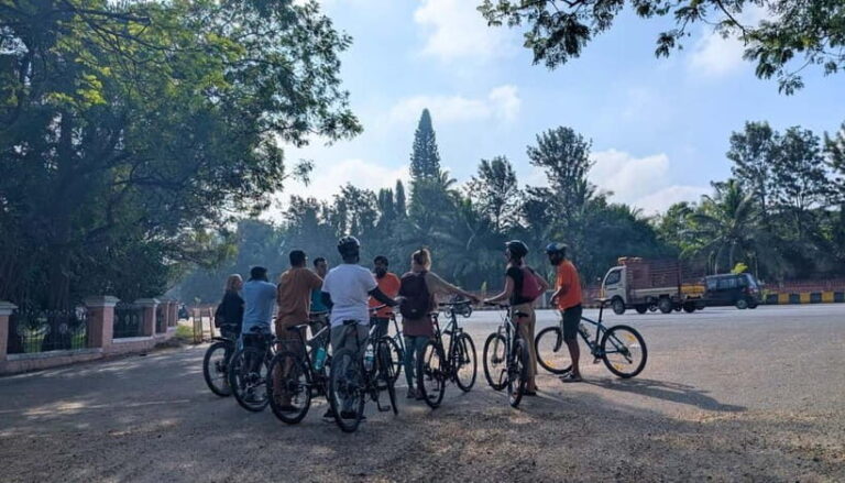Mysore City Bike Tour Morning 3.5 Hours: Mysore By Cycle - The Sum Up: Who Is This Tour Best For?