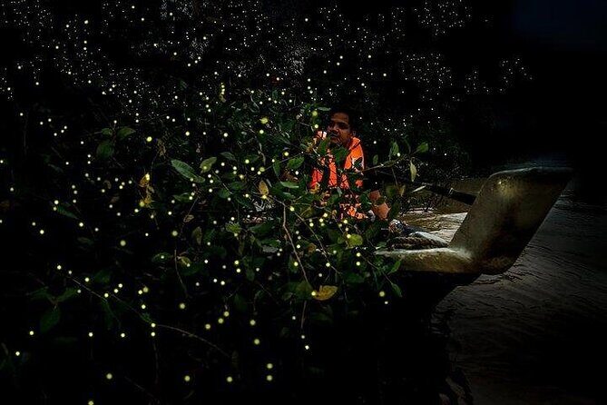 Mystical Nights: Fireflies & Blue Tears Adventure - Transportation and Practical Details