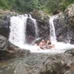 NADI: Nalesutale Village Half Day Tour - Cultural and Culinary Highlights: A Village Lunch