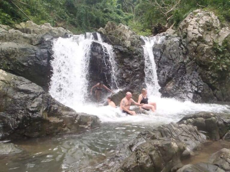 NADI: Nalesutale Village Half Day Tour - Cultural and Culinary Highlights: A Village Lunch