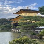 Nagano: Kyoto Private Full-Day Tour with English Driver - The Value of a Private, Customizable Tour