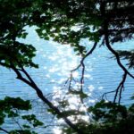 Nagano: Nikko Private Full-day Tour with Temples & Shrines - Practical Details & Tips