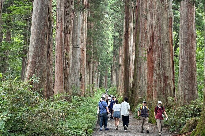 Nagano Private Tour: Ninja Temple, Soba Making & Sake Tasting - What’s Included and What’s Not