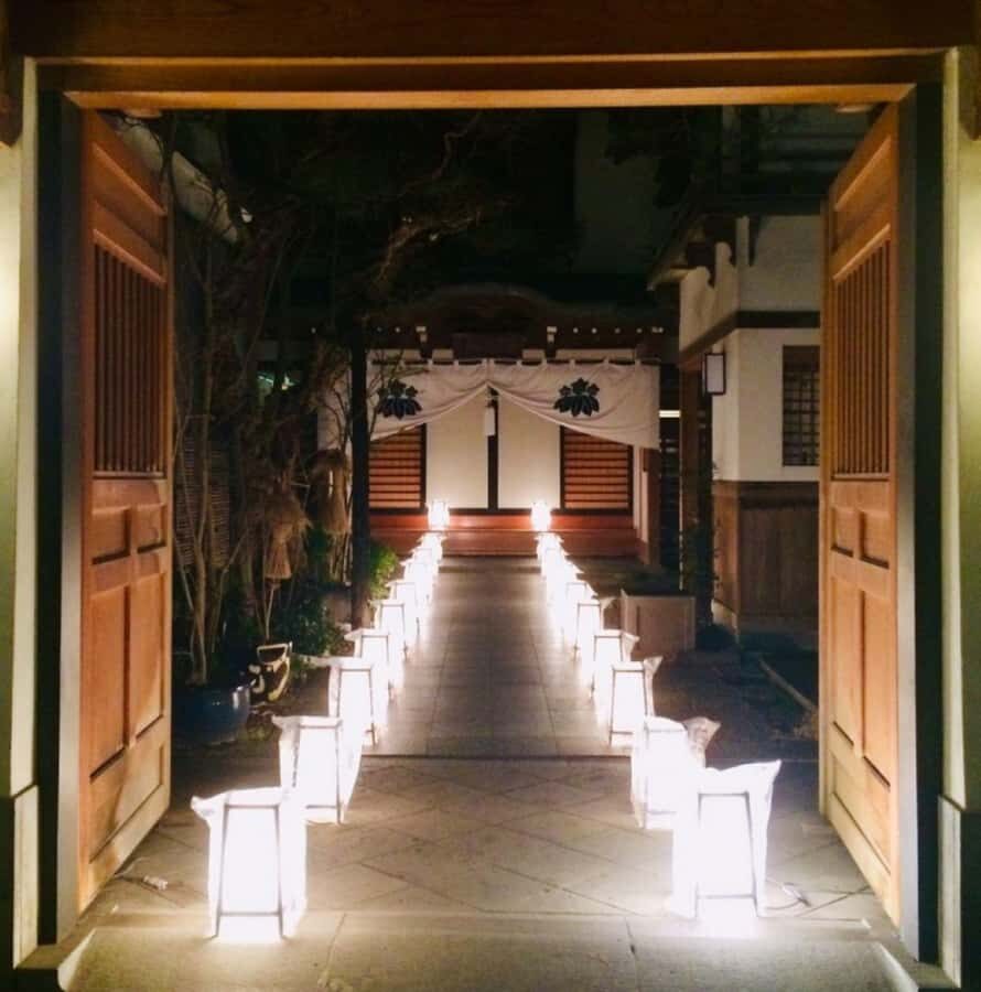 Nagano: Snow Monkeys & Zenko-ji Tomyo Lantern Festival Tour - Visiting Jigokudani Monkey Park