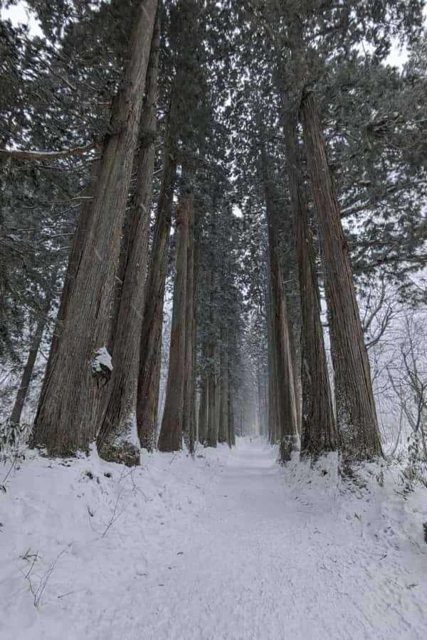 Nagano Snowshoe Adventure with Traditional Kanjiki - The Itinerary: From Snowy Valleys to Mountain Shrines