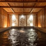 Nagano & Tokyo: Snow Monkey Park Private Tour Customizable - Evaluating Value and Practicalities