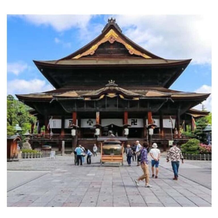 Nagano/ Tokyo: Snow Monkey Private Day Tour Fully Customised - Transportation & Logistics