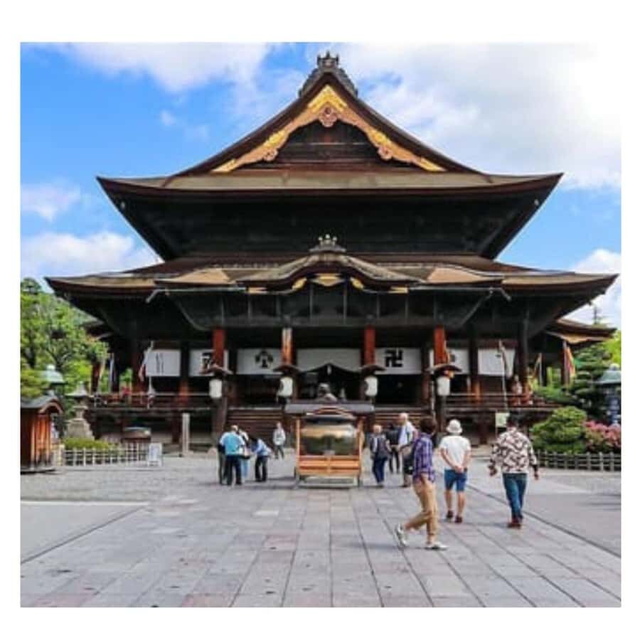 Nagano/ Tokyo: Snow Monkey Private Day Tour Fully Customised - Transportation & Logistics