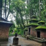 Nagarkot : Nature Hike, Yoga,Campfire & Recreation - Who Would Love This Tour?