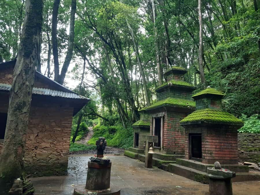 Nagarkot : Nature Hike, Yoga,Campfire & Recreation - Who Would Love This Tour?