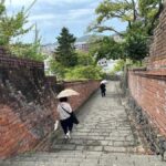 Nagasaki: Hidden Alleys and Finding Local Cats Walking Tour - Why This Tour is a Great Choice