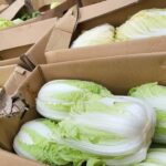 Nagasaki Sasebo: Traditional Cooking Class in Japanese House - Practical Details and Why They Matter