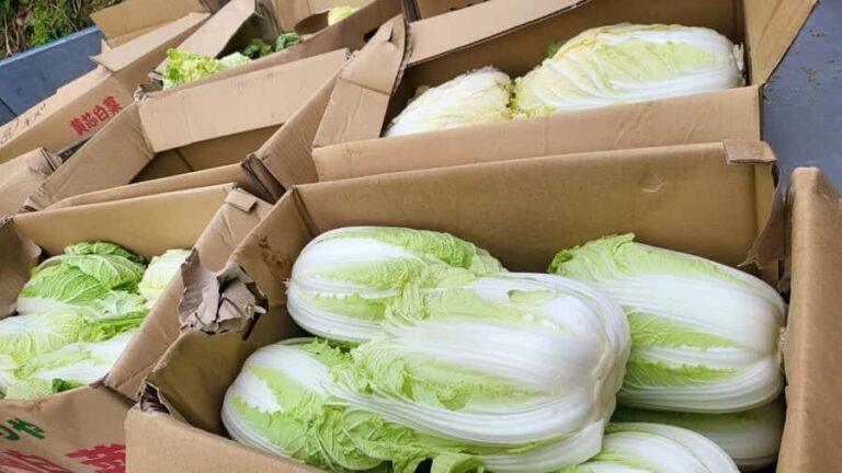 Nagasaki Sasebo: Traditional Cooking Class in Japanese House - Practical Details and Why They Matter