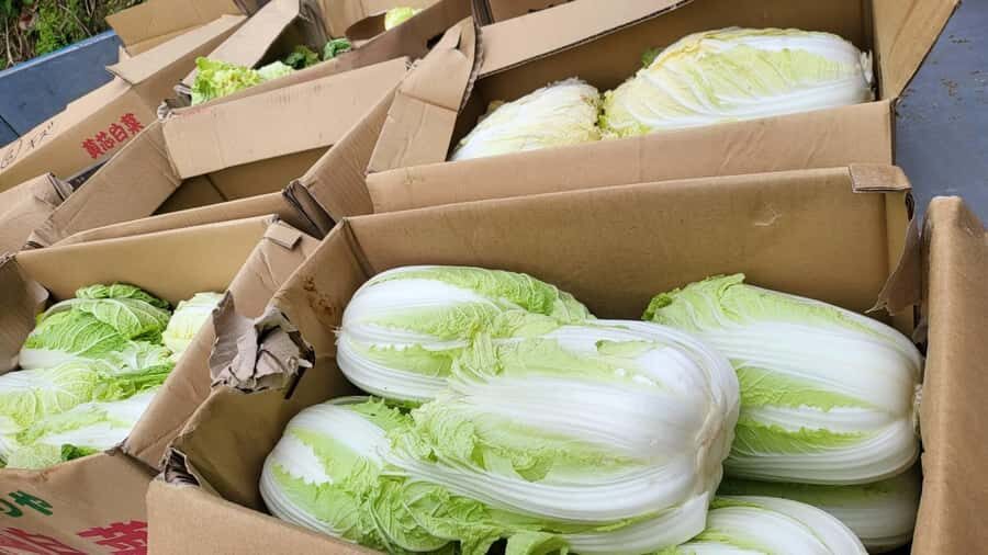 Nagasaki Sasebo: Traditional Cooking Class in Japanese House - Practical Details and Why They Matter