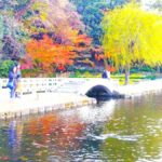 Nagoya: Exploring the Beauty of Tokugawa-en Garden - Who Will Love This Tour?
