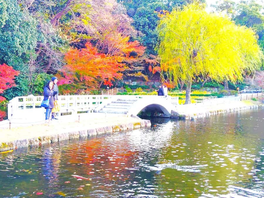 Nagoya: Exploring the Beauty of Tokugawa-en Garden - Who Will Love This Tour?