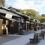 Nagoya Private Custom Tour with Local Guide - In-Depth Look at the Itinerary and Highlights
