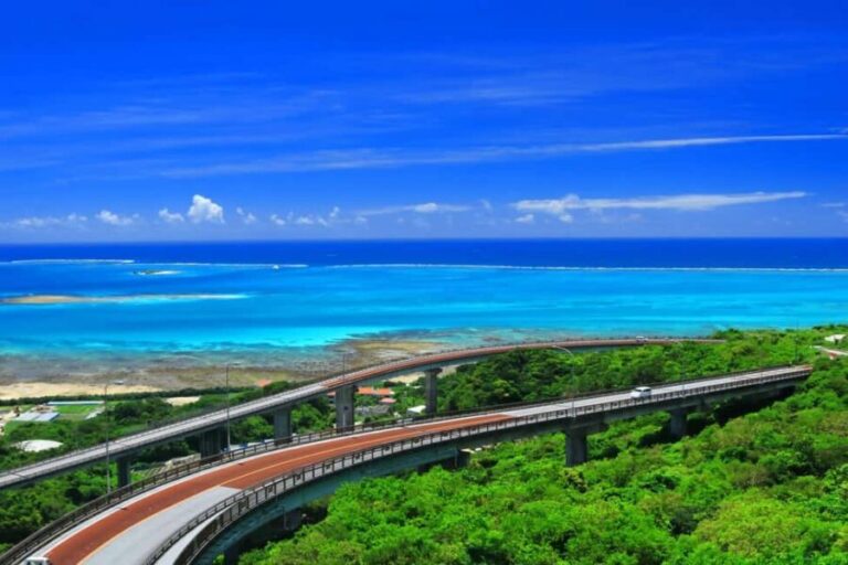 Naha: Southern Okinawa,Scenic view,fruit picking,BBQ Lunch - Practical Details and Tips
