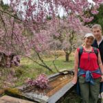 Nakasendo Magome Private Hiking TourGuide & Car from Nagoya - What Makes This Tour Special?