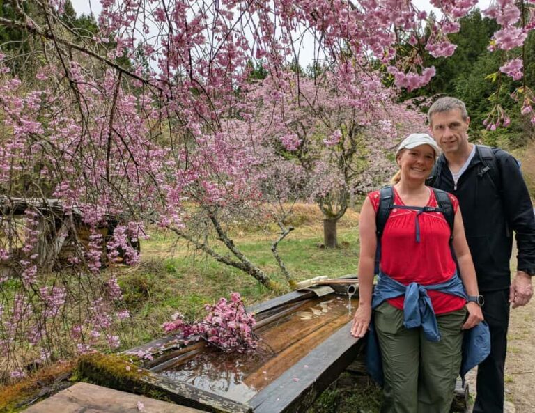 Nakasendo Magome Private Hiking TourGuide & Car from Nagoya - What Makes This Tour Special?