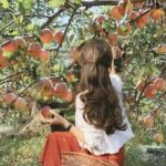 Nami Island, Apple Picking & The Alpaca Garden - Things to Keep in Mind