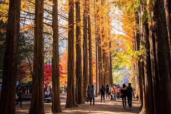 Nami Island, Morning Calm, Rail bike & Autumn Light Festival - Who Should Consider This Tour?