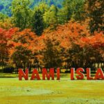 Nami Island, Rail bike & The Alpaca Garden - What Makes This Tour Stand Out?