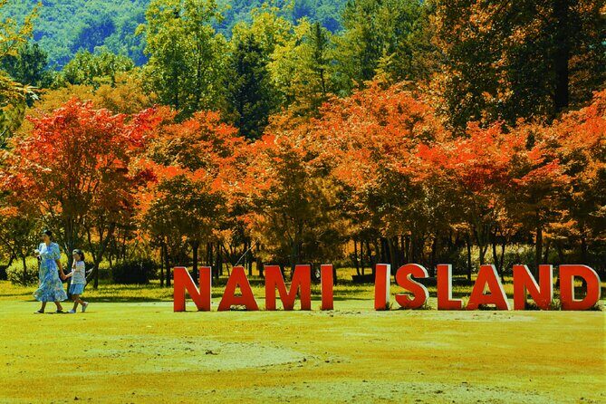 Nami Island, Rail bike & The Alpaca Garden - What Makes This Tour Stand Out?