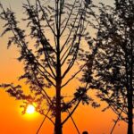 Nanjing Professional and Private Tour Guide Service - Authentic and Knowledgeable Guides: Why They Matter