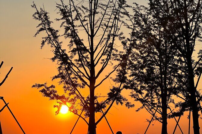 Nanjing Professional and Private Tour Guide Service - Authentic and Knowledgeable Guides: Why They Matter