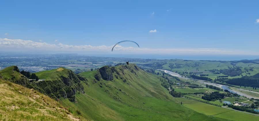 Napier: Highlights & Tour Exploring the Best of this Region - The Sum Up: Who Should Consider This Tour?