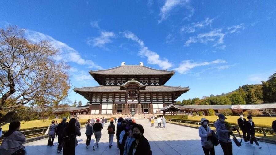 Nara: 3-Hour Guided Tour with Deer, Great Buddha & Shrines - Who Should Consider This Tour?