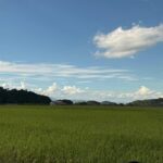 Nara: Asuka, Ancient Capital & Future Heritage Private Tour - Authenticity and Unique Insights from Reviewers