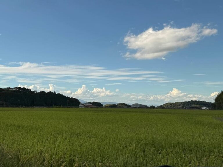 Nara: Asuka, Ancient Capital & Future Heritage Private Tour - Authenticity and Unique Insights from Reviewers