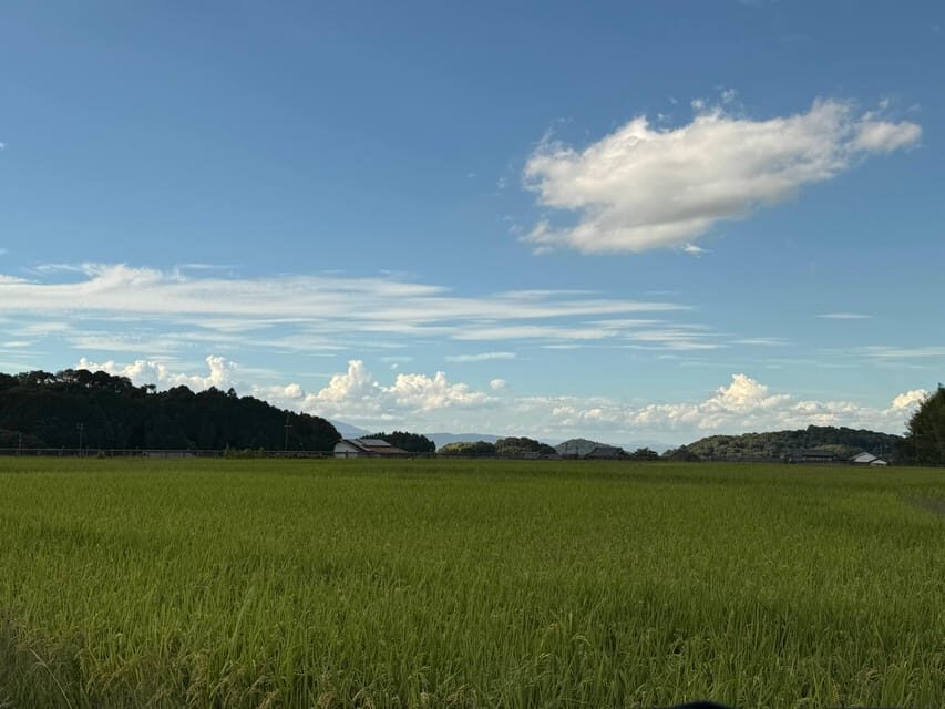 Nara: Asuka, Ancient Capital & Future Heritage Private Tour - Authenticity and Unique Insights from Reviewers