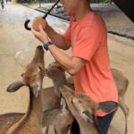 Nara: Deer, Temples, and Hidden Lanes Tour - Why This Tour Is Worth Considering